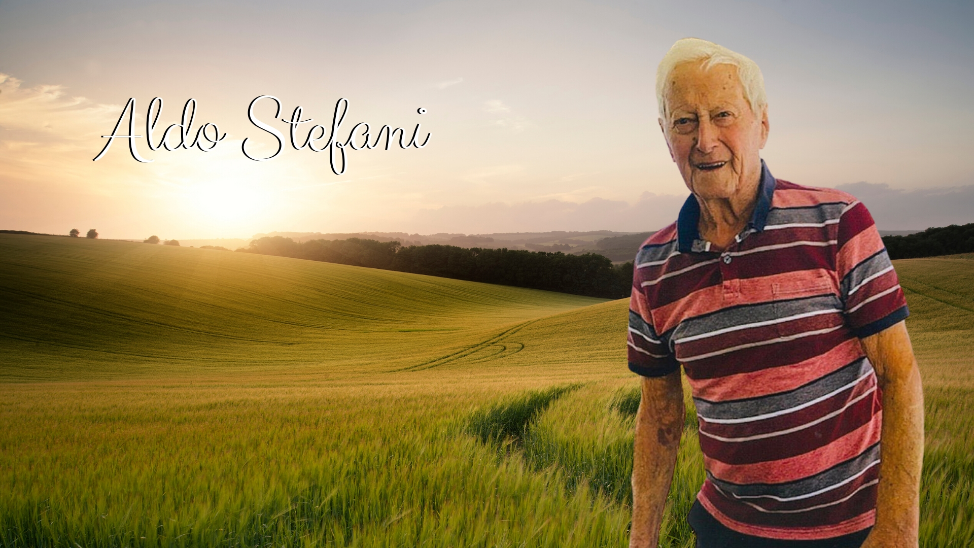Aldo Stefani