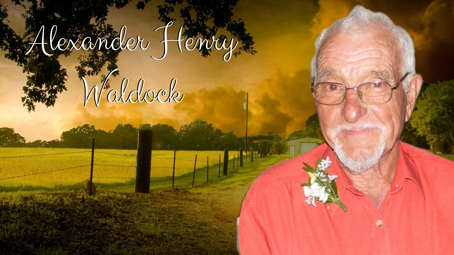 Alexander Henry Waldock