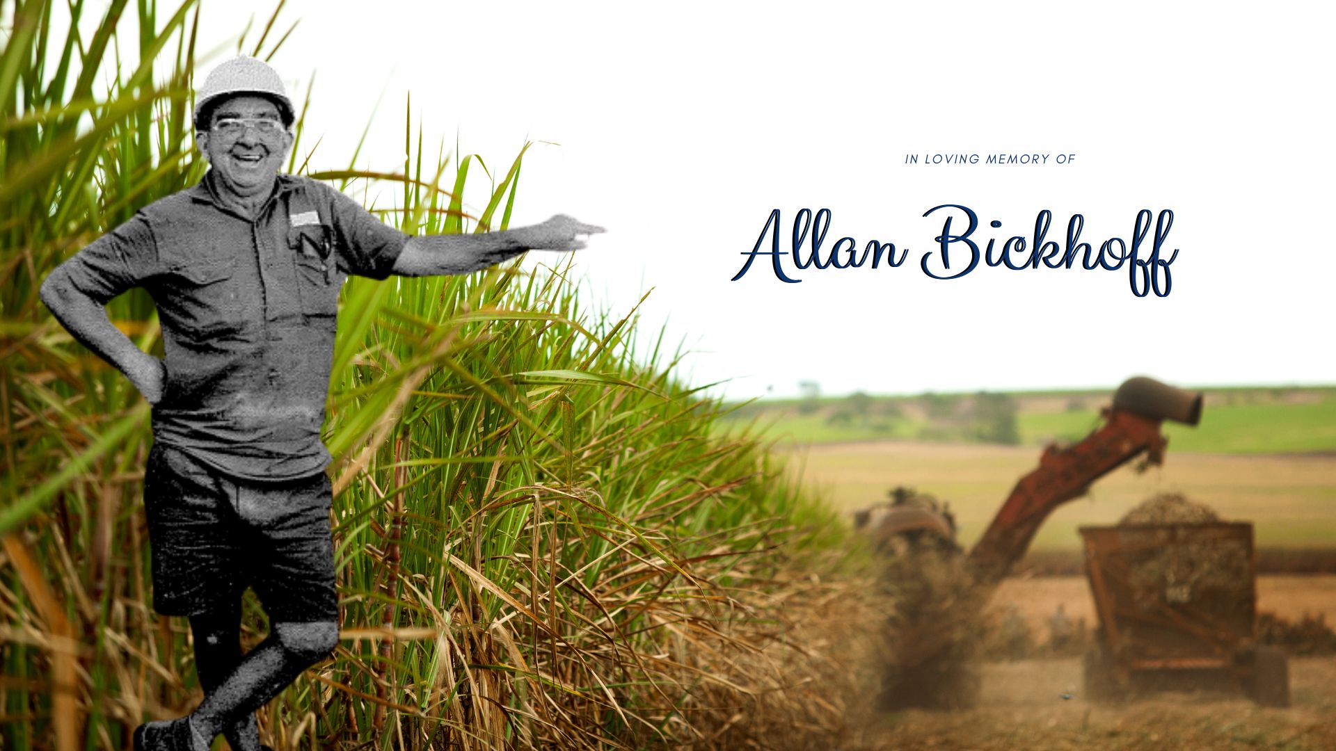 Allan Bickhoff
