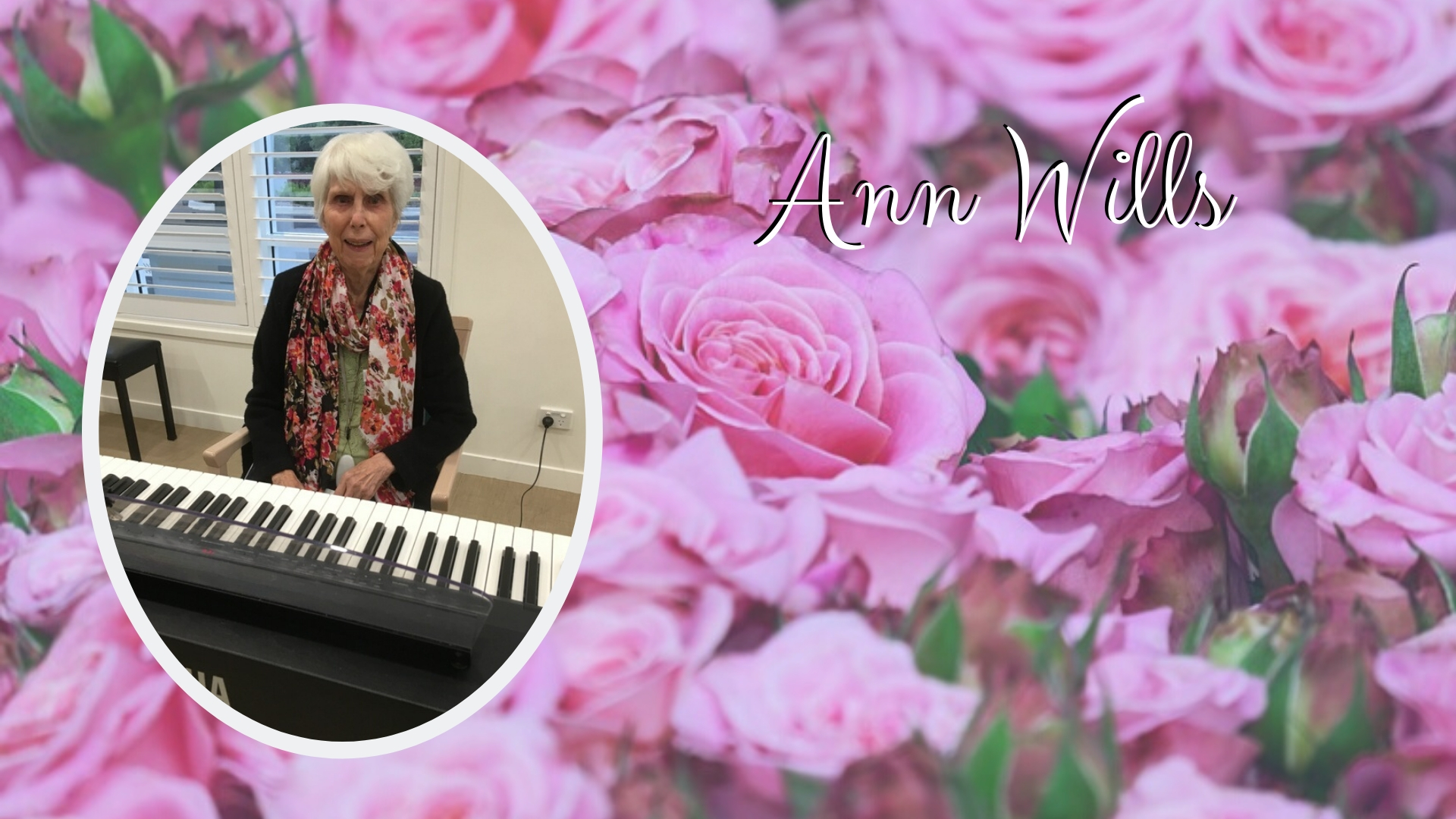 Ann Wills
