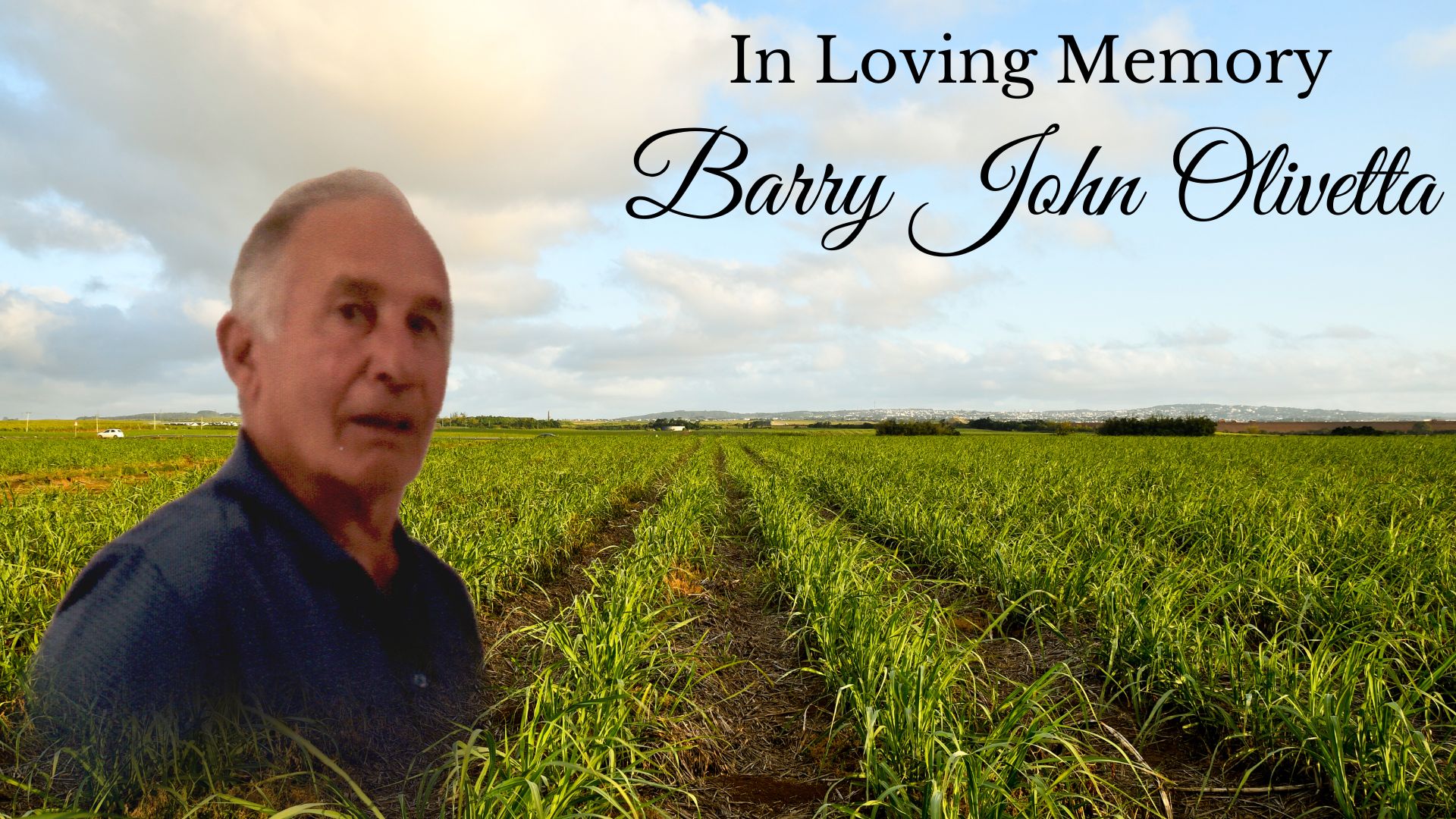 Barry Olivetta