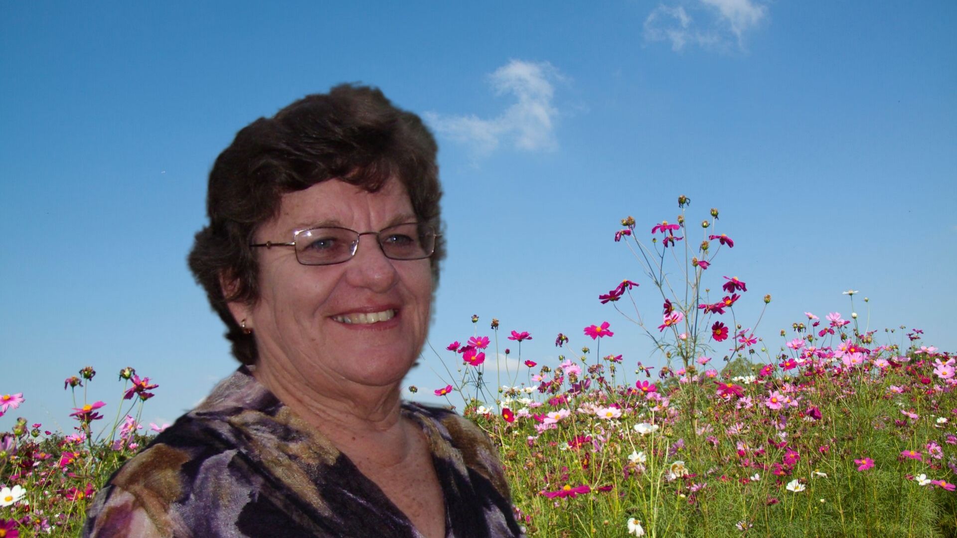 Shirley Evans
