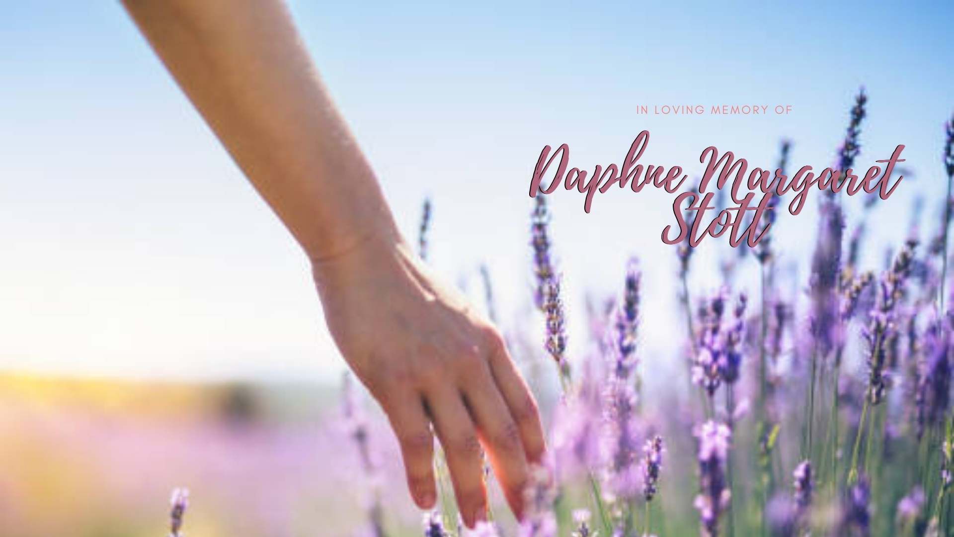 Daphne Margaret Stott