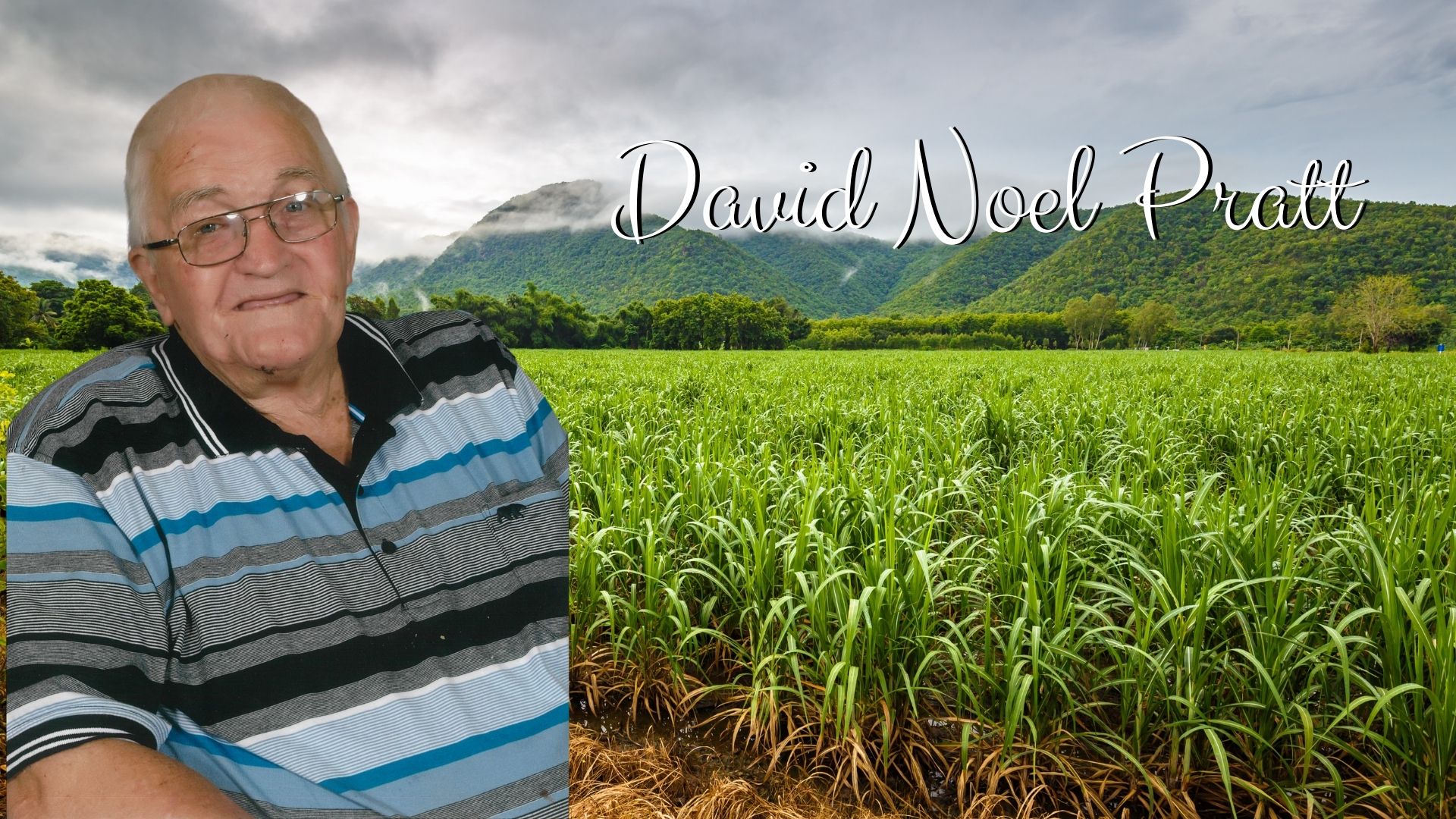 David Noel Pratt