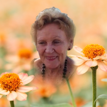 Dawn Hockings