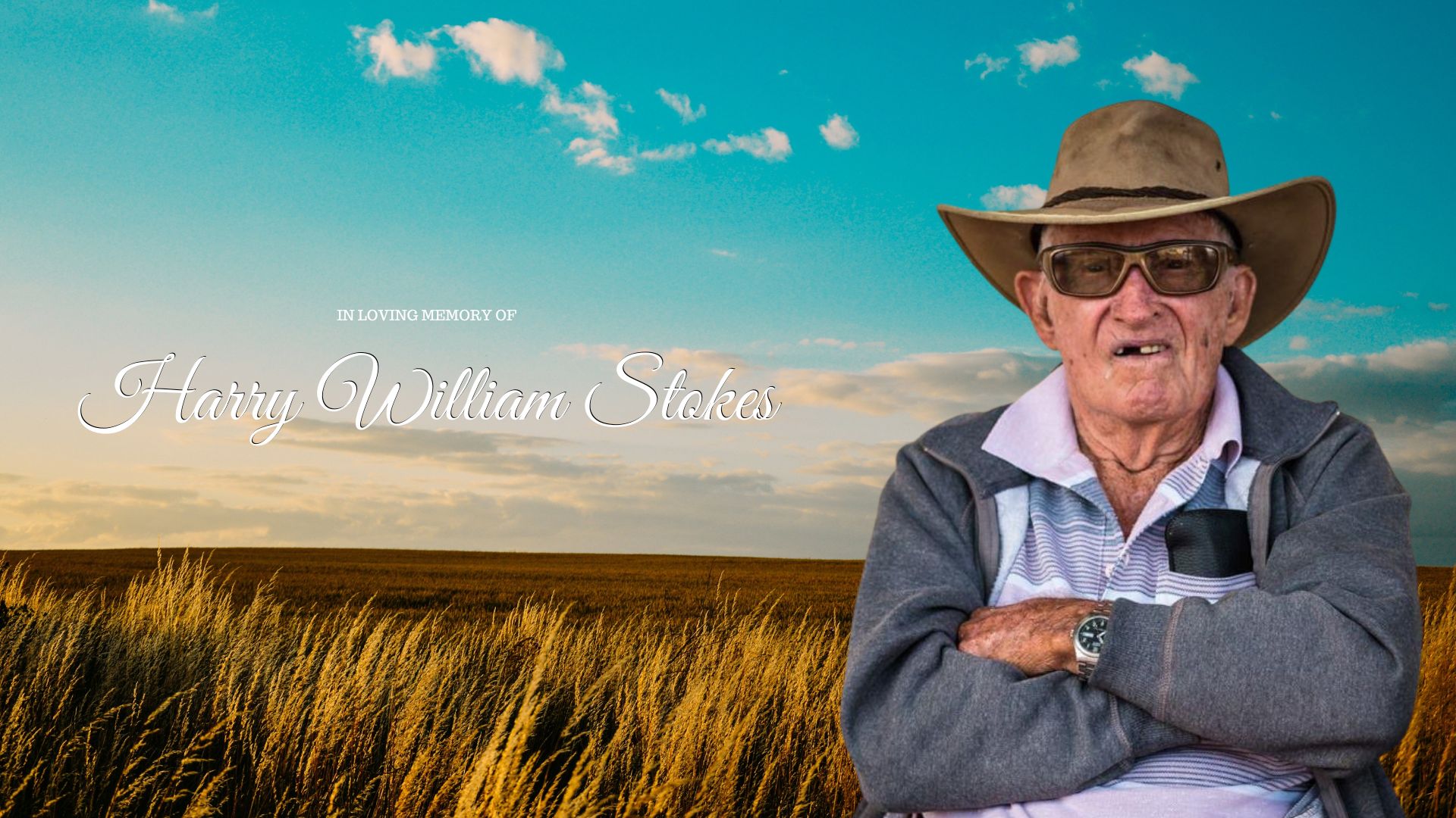 Harry William Stokes