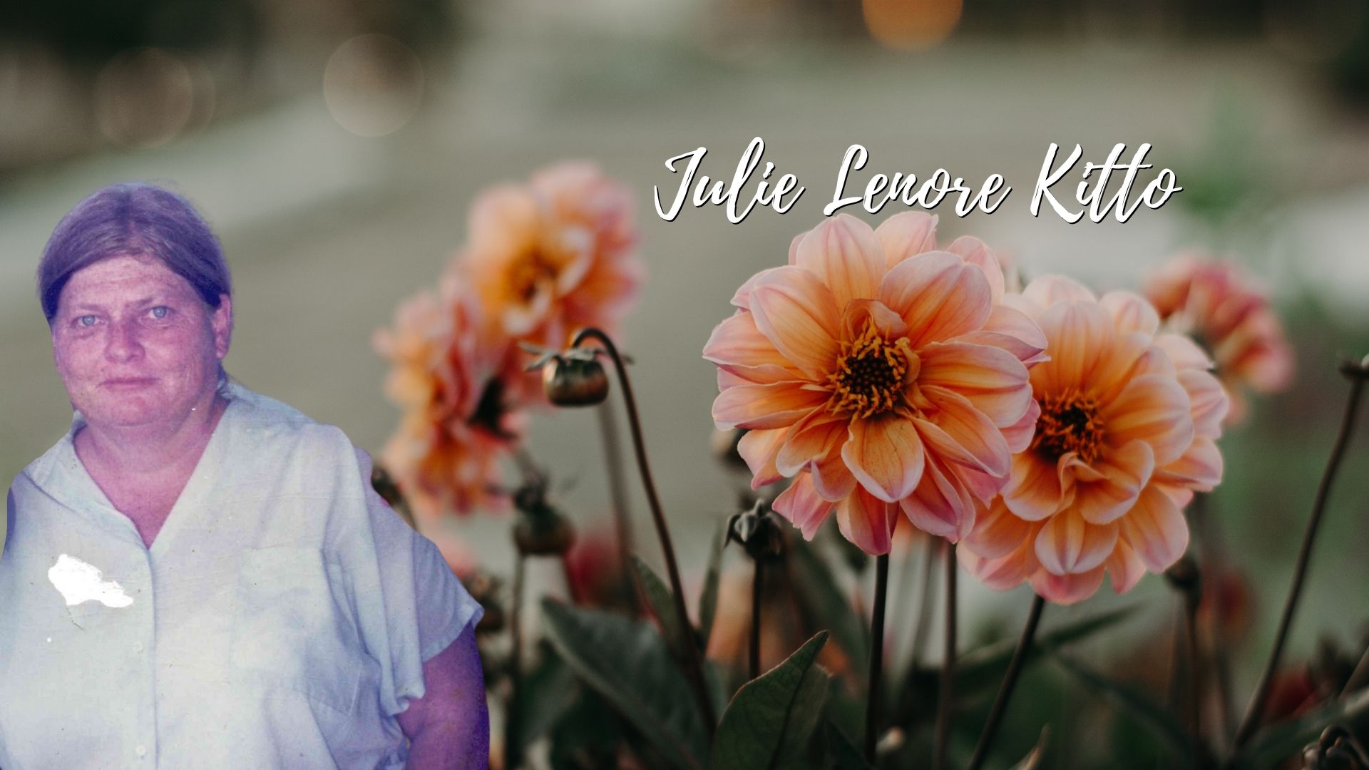 Julie Lenore Kitto