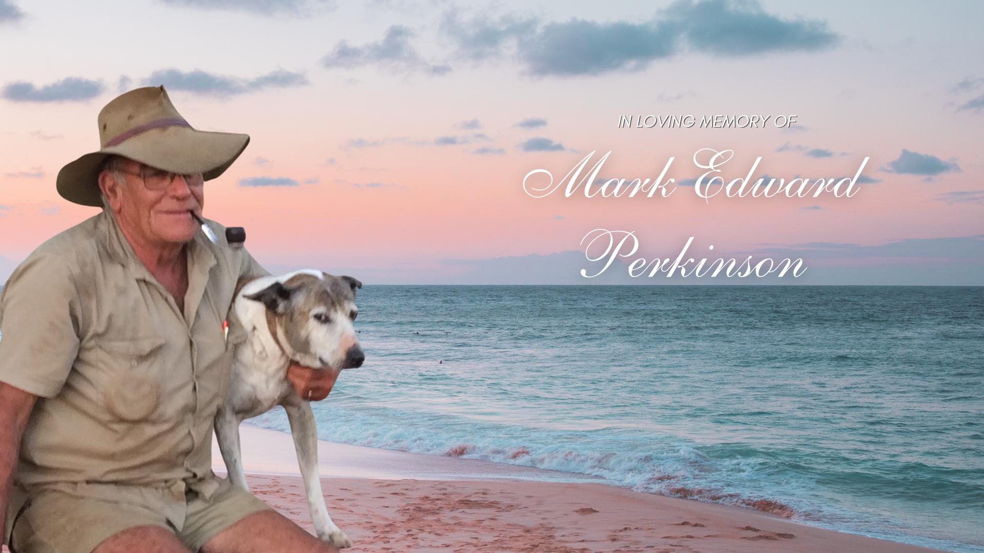 Mark Perkinson