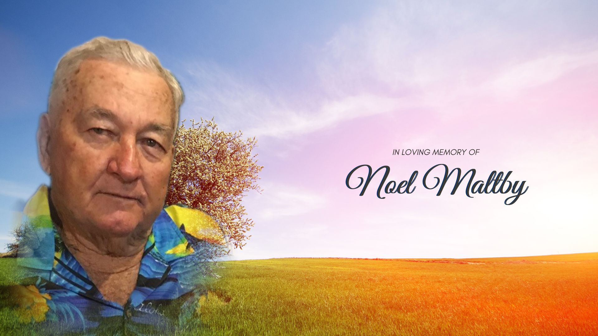 Noel Maltby