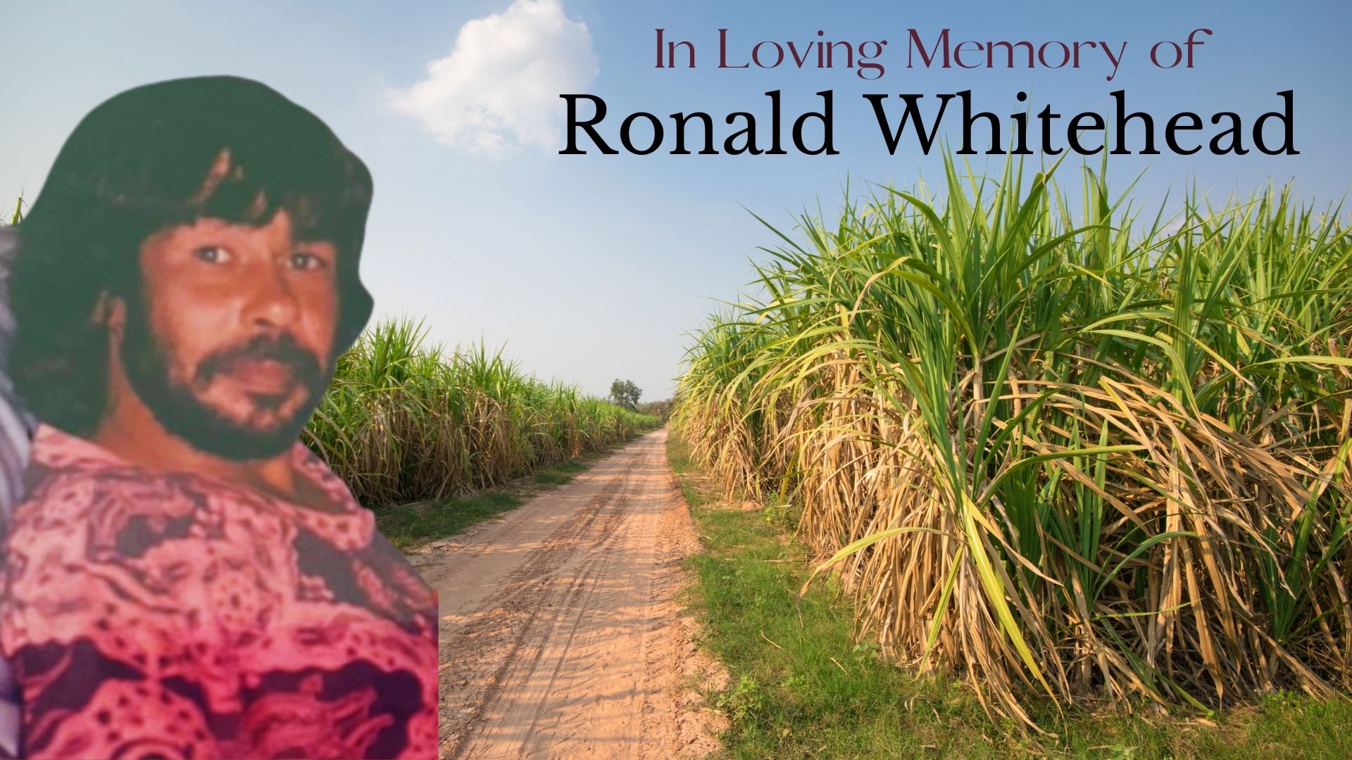 Ronald Whitehead