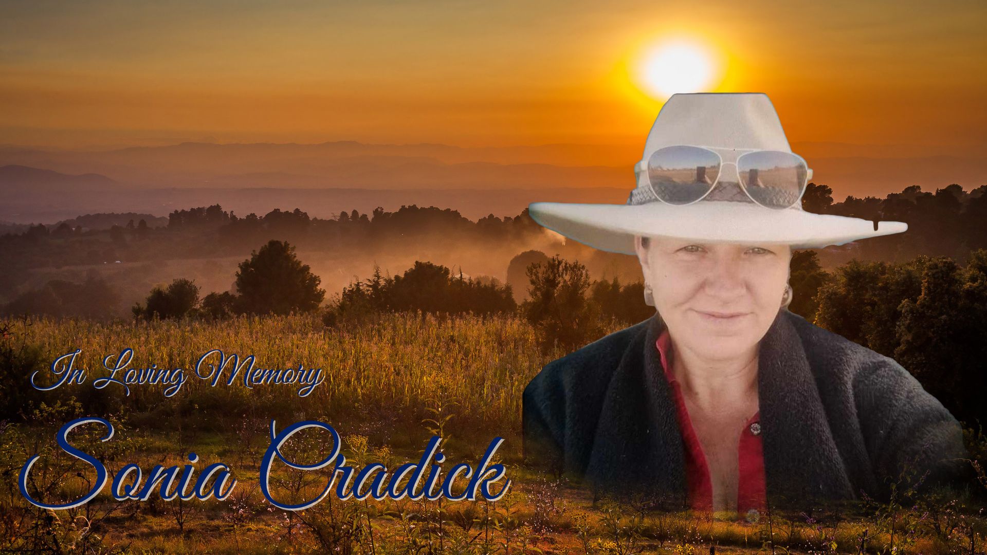 Sonia Cradick