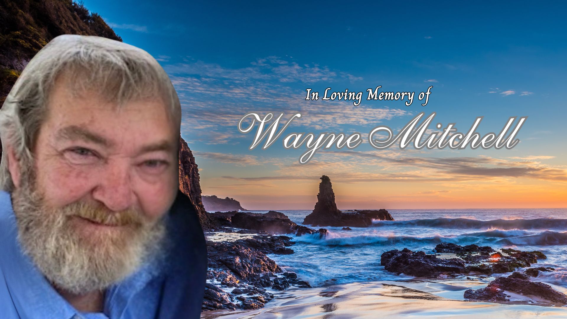 Wayne Mitchell